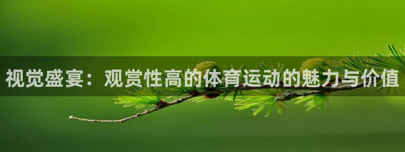 沐鸣2官网登录：视觉盛宴：观赏性高的体育运动的魅力与价值
