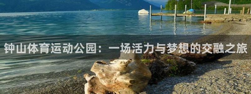 沐鸣3登录：钟山体育运动公园：一场活力与梦想的交融之旅