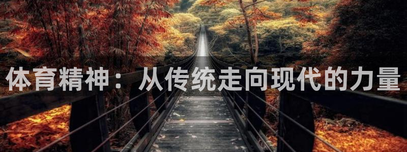 沐鸣体育f开号：体育精神：从传统走向现代的力量