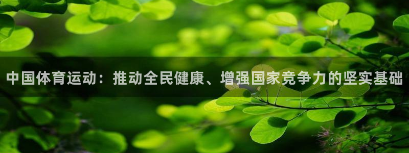 沐鸣科技：中国体育运动：推动全民健康、增强国家竞争力的坚实基础