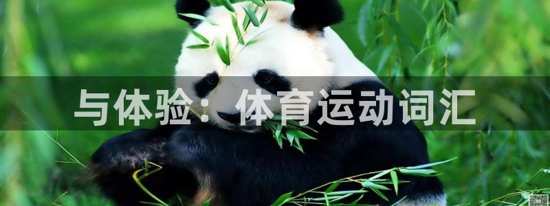 沐鸣平台登录线路：与体验：体育运动词汇