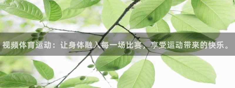沐鸣2登录：视频体育运动：让身体融入每一场比赛，享受运动带来的快乐。