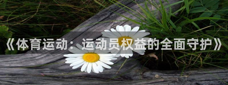 沐鸣体育官网登录：《体育运动：运动员权益的全面守护》