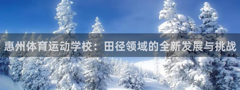 沐鸣体育和杏耀是哪个公司的：惠州体育运动学校：田径领域的全新发展与挑战