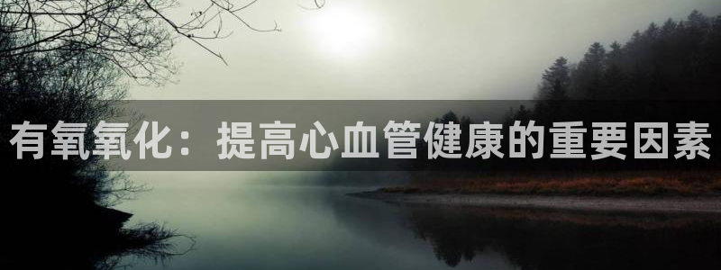 沐鸣平台负责人：有氧氧化：提高心血管健康的重要因素
