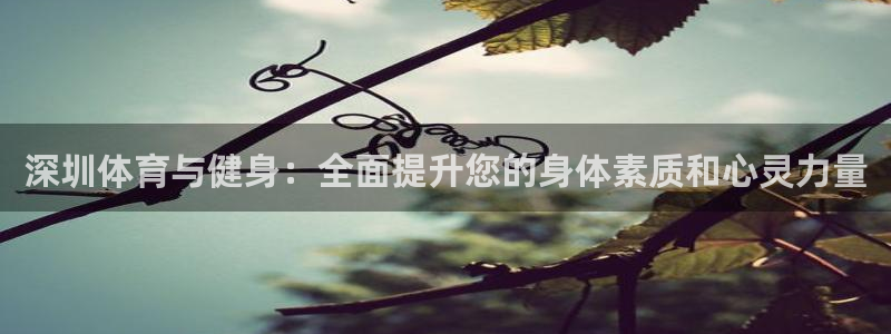 沐鸣3：深圳体育与健身：全面提升您的身体素质和心灵力量