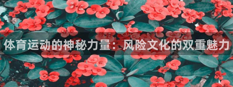 沐鸣娱乐2：体育运动的神秘力量：风险文化的双重魅力