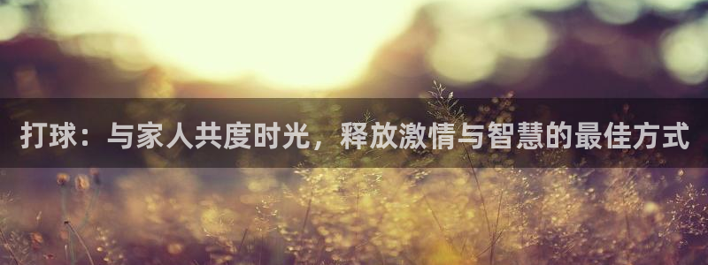 沐鸣凯捷注册：打球：与家人共度时光，释放激情与智慧的最佳方式