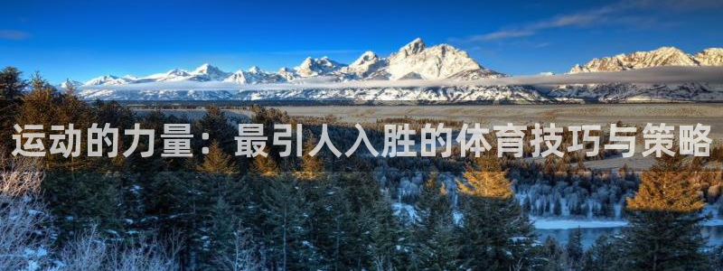 沐鸣3官网：运动的力量：最引人入胜的体育技巧与策略