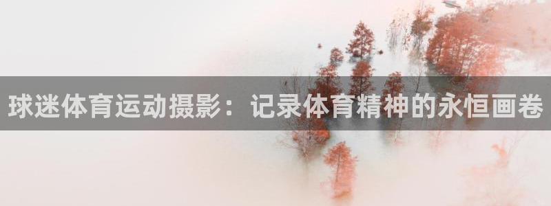 沐鸣网址：球迷体育运动摄影：记录体育精神的永恒画卷