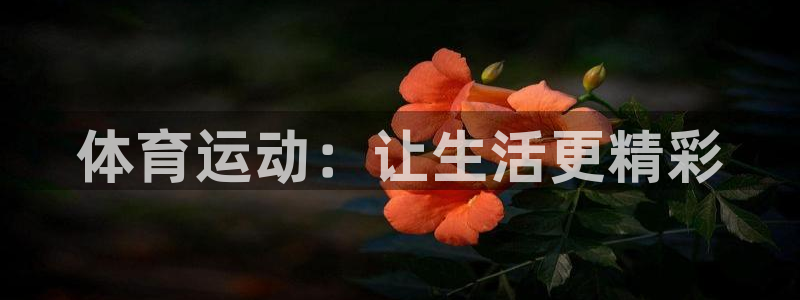 沐鸣官网入口：体育运动：让生活更精彩