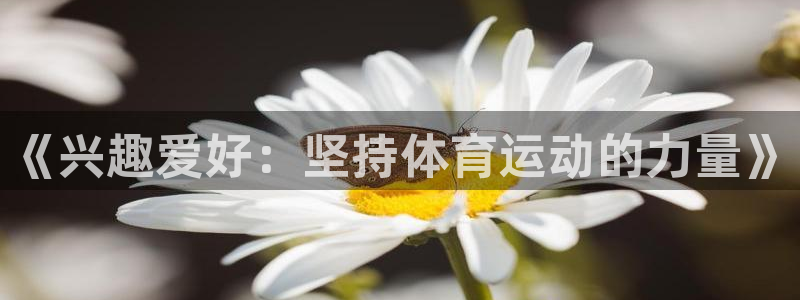 沐鸣代理：《兴趣爱好：坚持体育运动的力量》