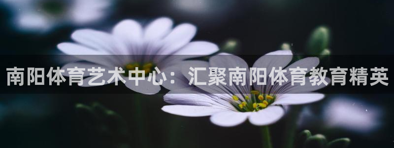 沐鸣体育官网入口登录：南阳体育艺术中心：汇聚南阳体育教育精英