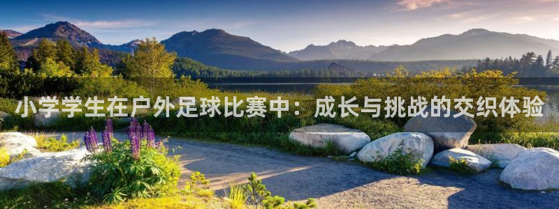 沐鸣凯捷平台