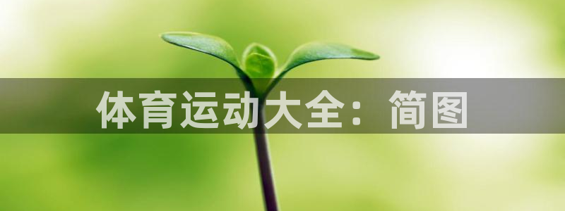 沐鸣4开户